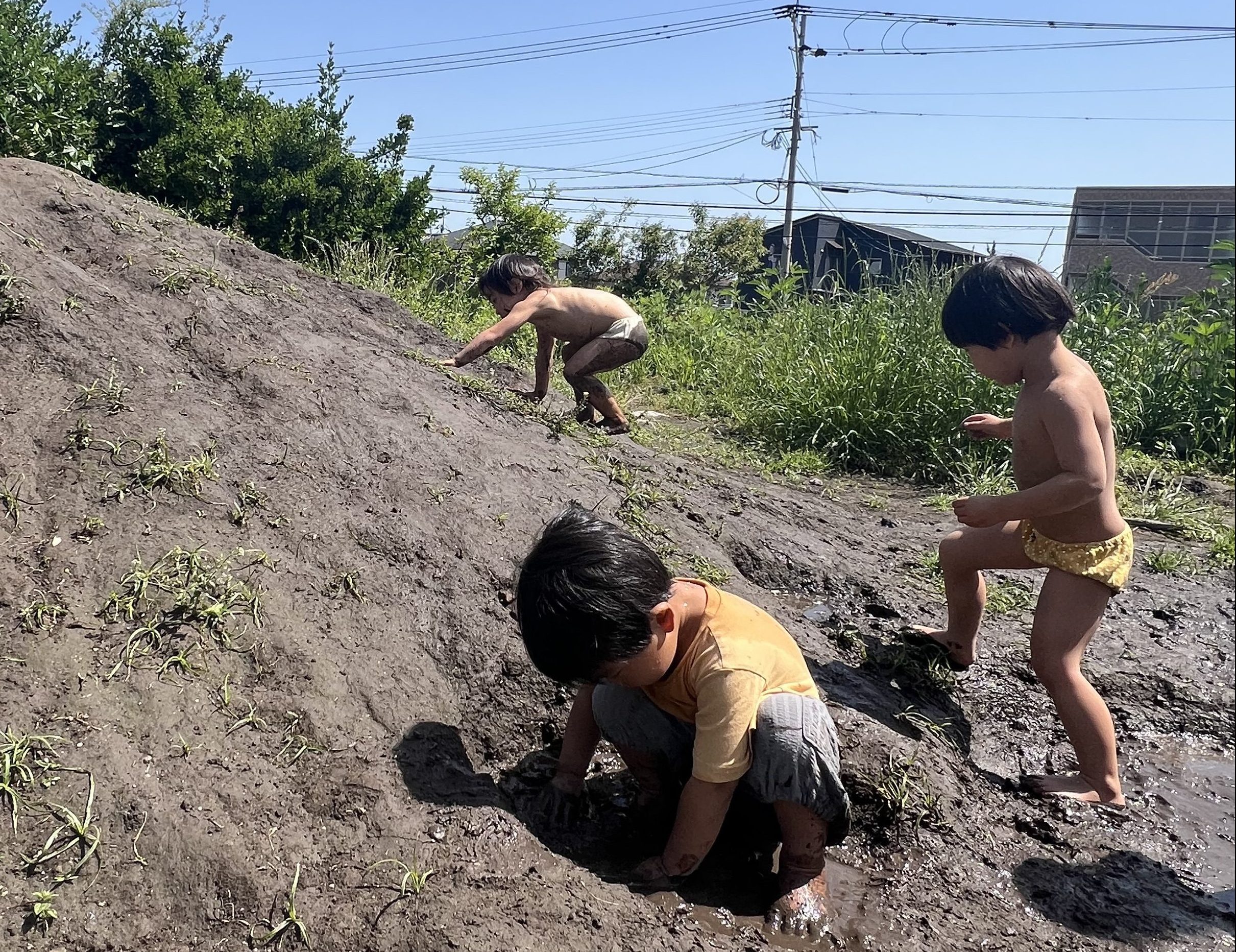 あおばの教育保育イメージ